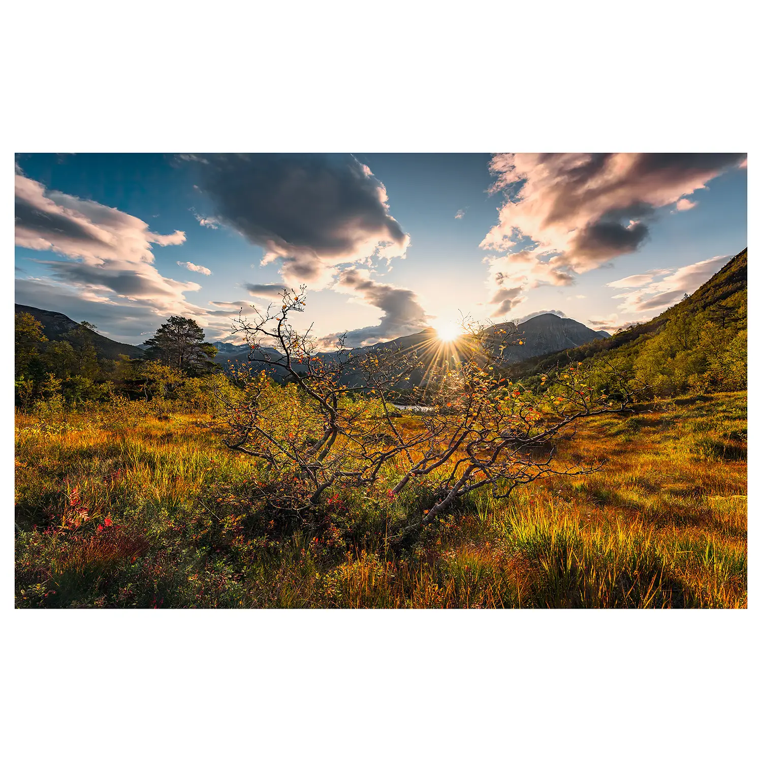 Fototapete Norwegische Herbstwelten