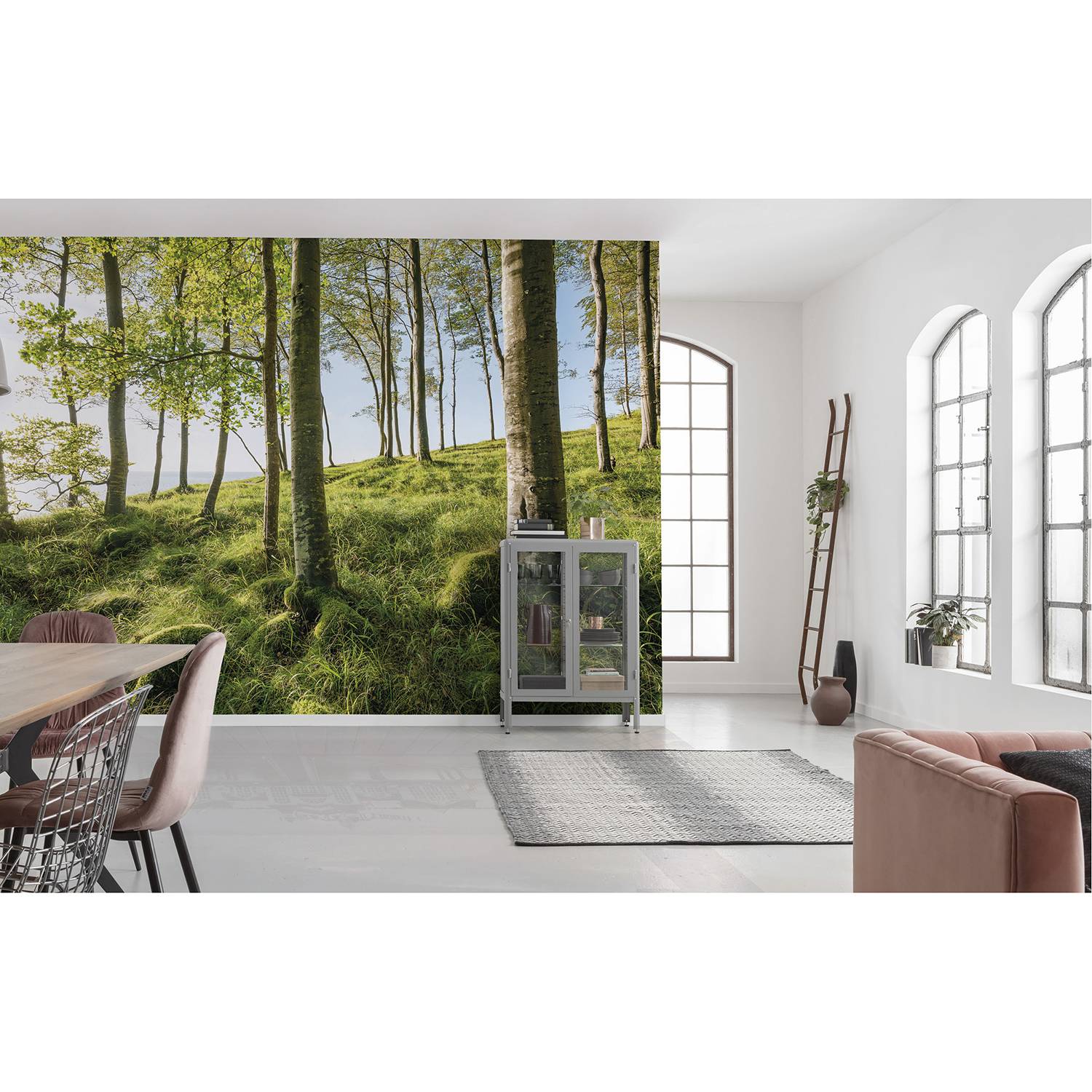 Papier peint Hêtres enchanteurs