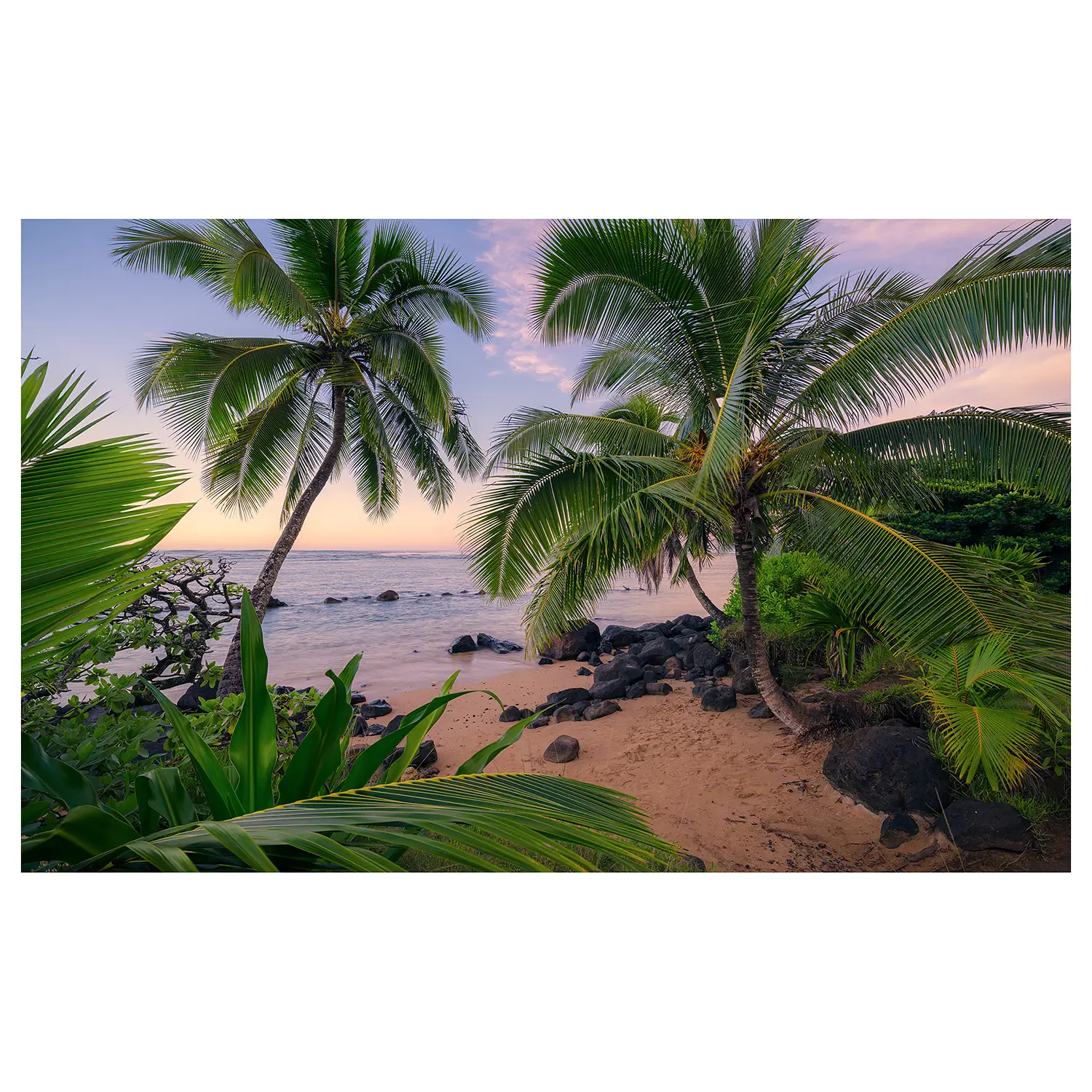 Hawaiian Vlies Fototapete Dreams