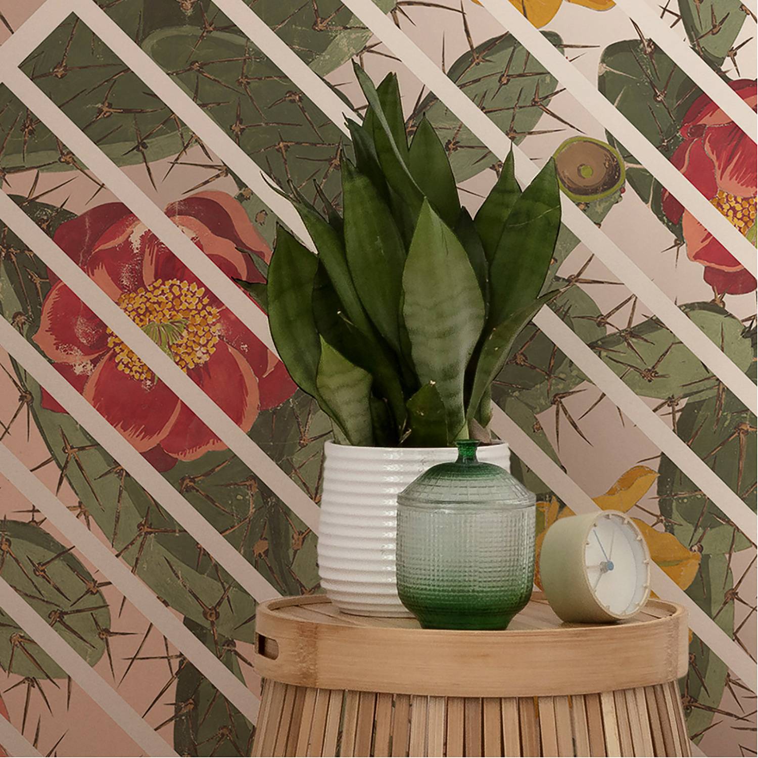 Papier peint intissé Cactus