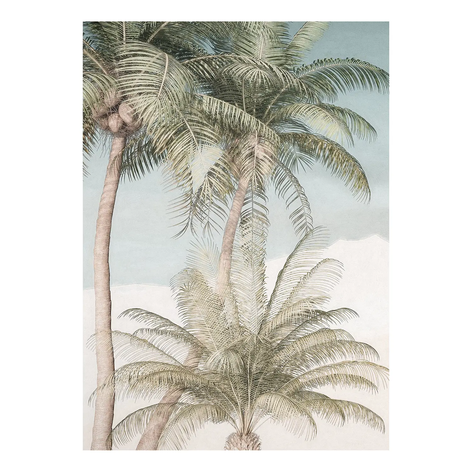 Vlies Palm Oasis Fototapete