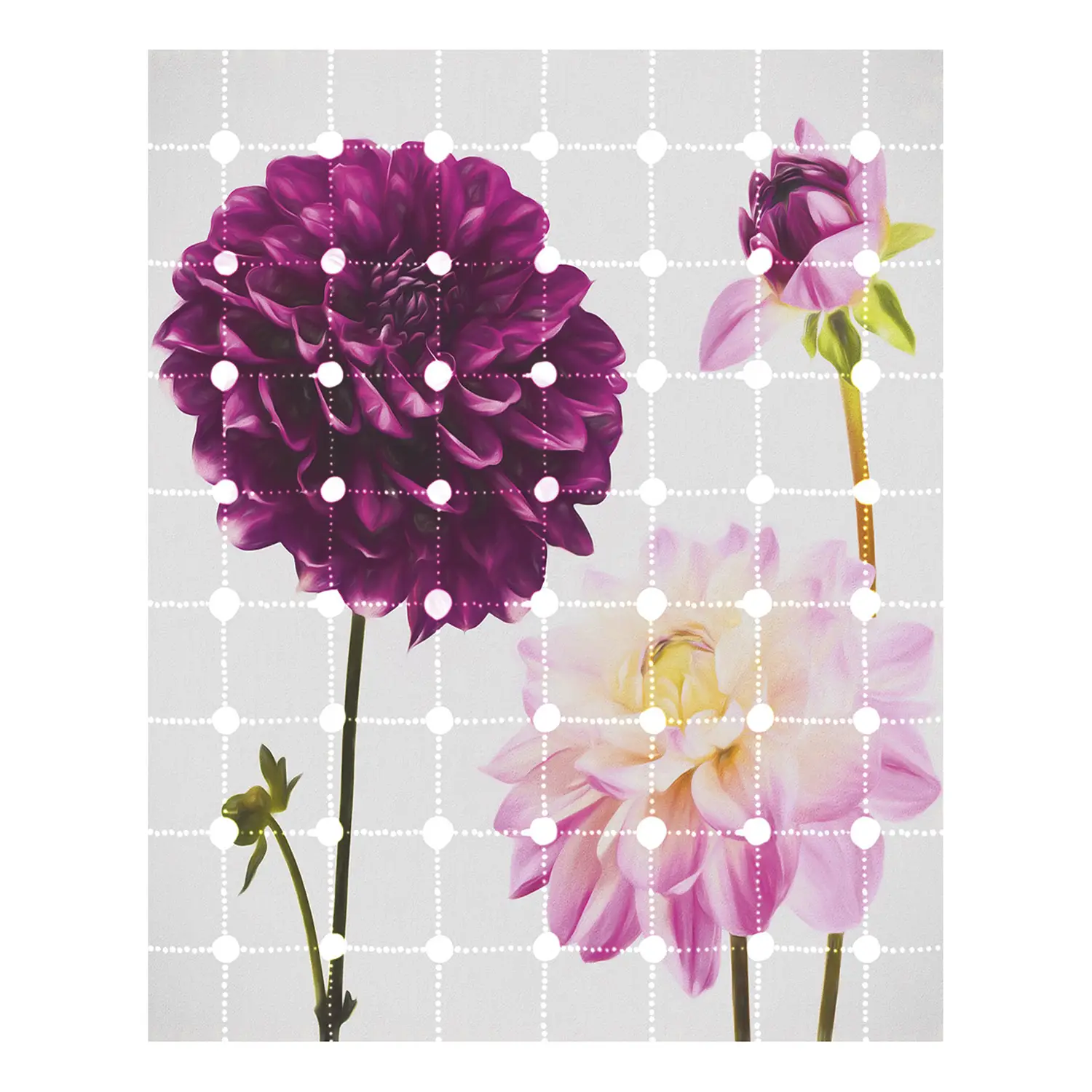 Vlies Fototapete Flowers & Dots | Tapeten