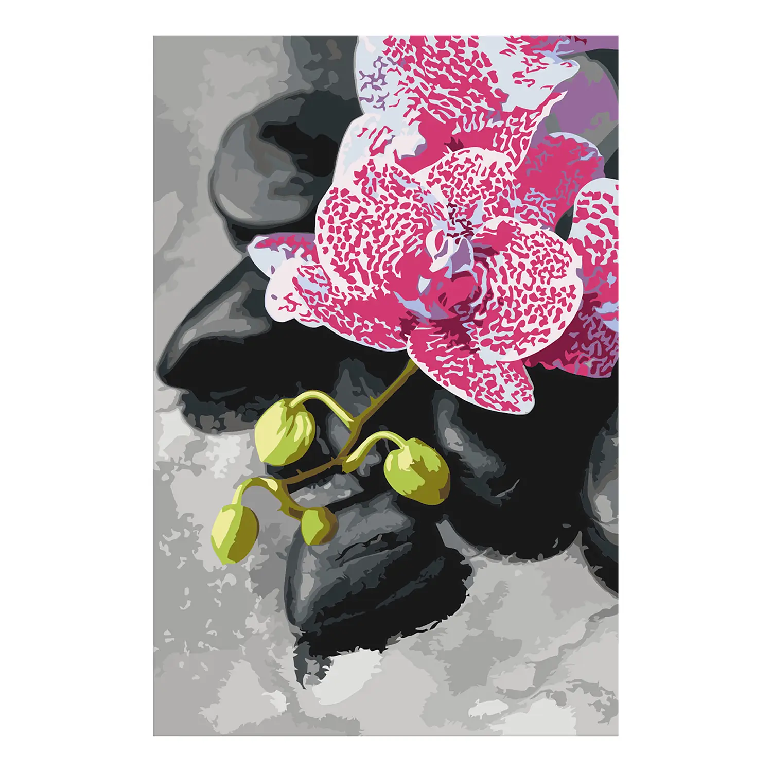 Orchidee Zahlen - Rosarote nach Malen
