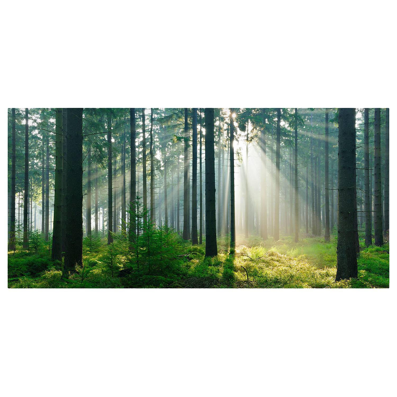Home24 Magneetbord Enlightened Forest, Bilderwelten