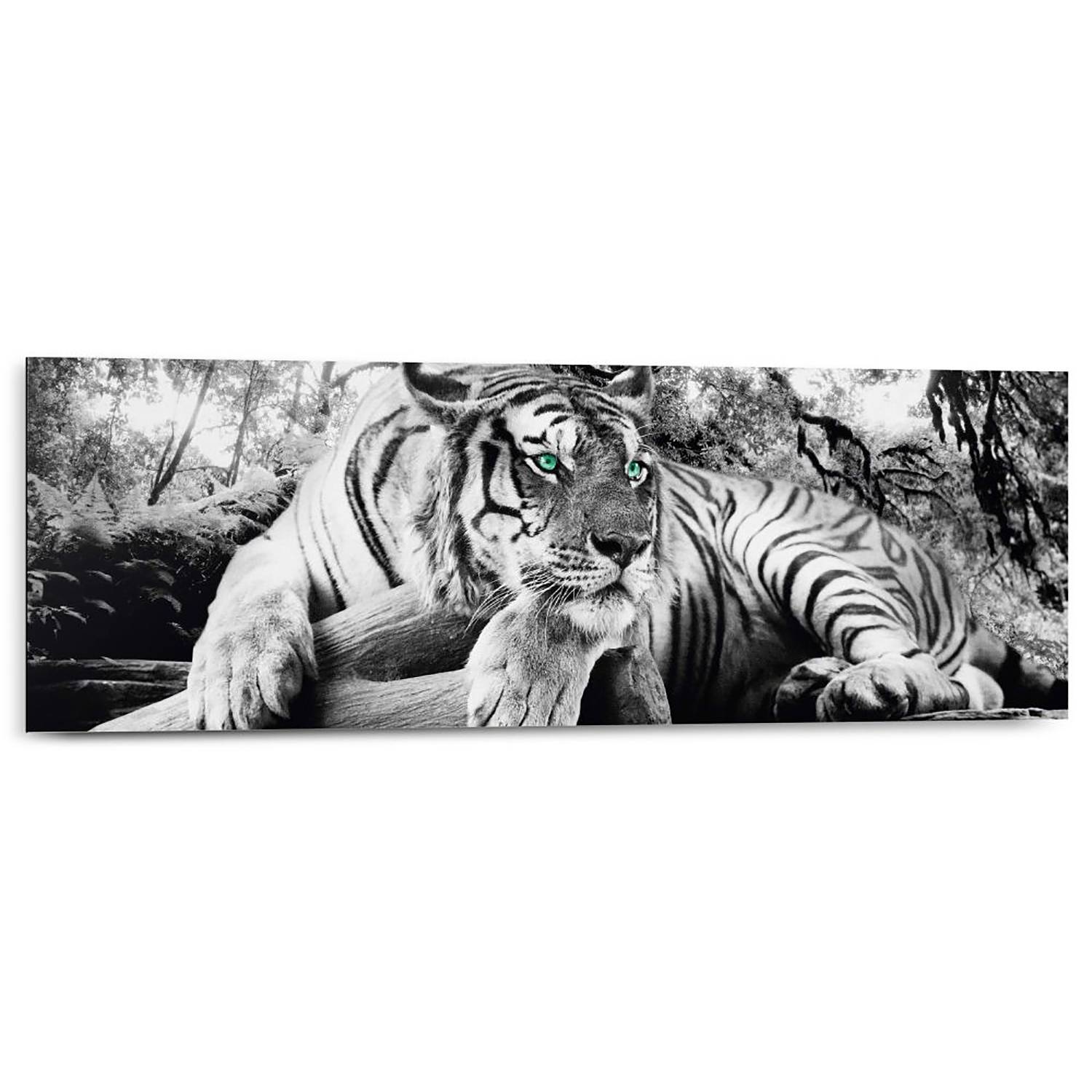 | Tigerblick Wandbild home24 kaufen