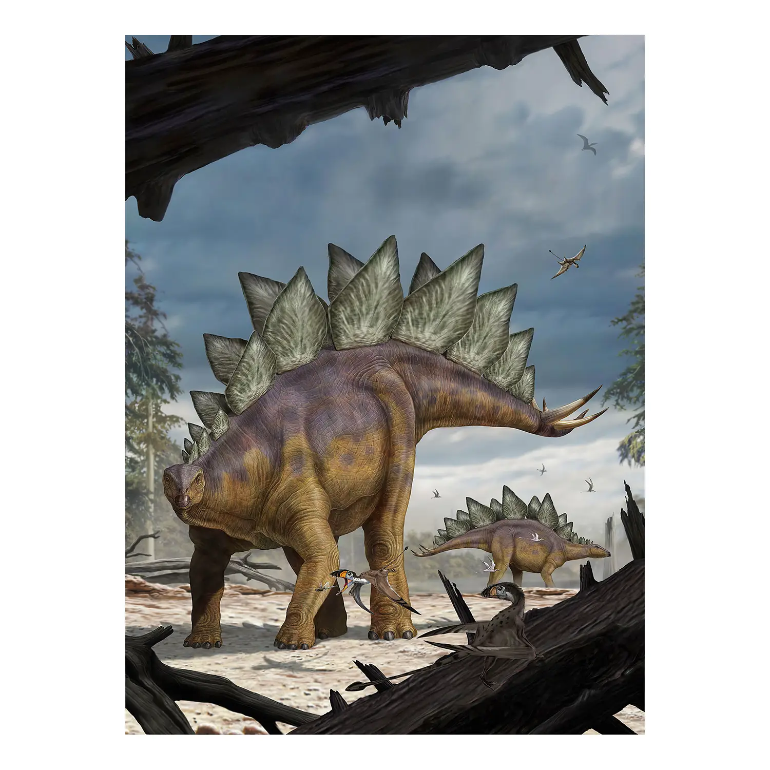 Fototapete Vlies Stegosaurus