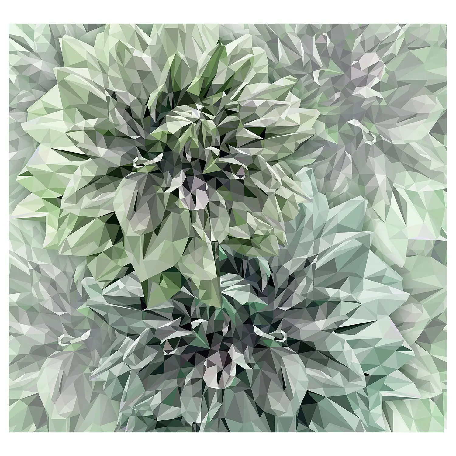Emerald Vlies Flowers Fototapete
