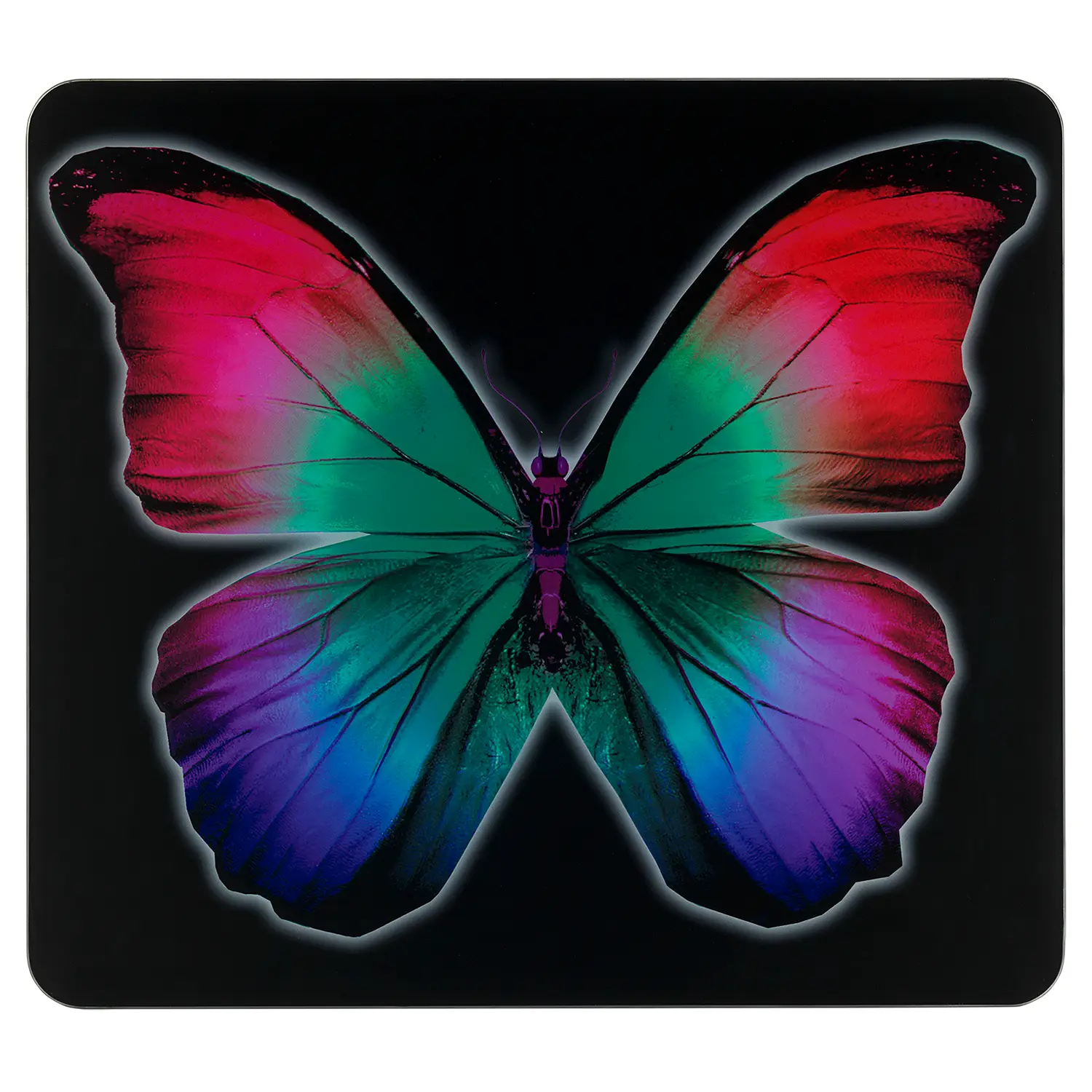 Multi-Platte Butterfly by Night
