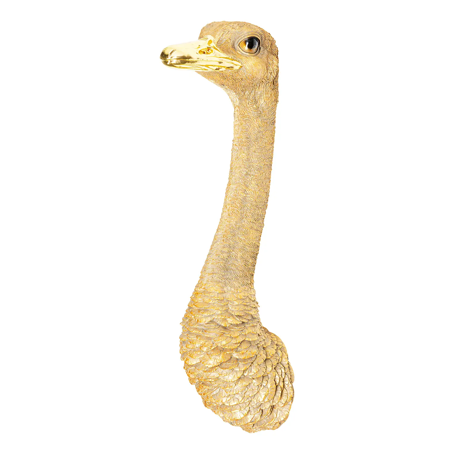 Ostrich Wandschmuck