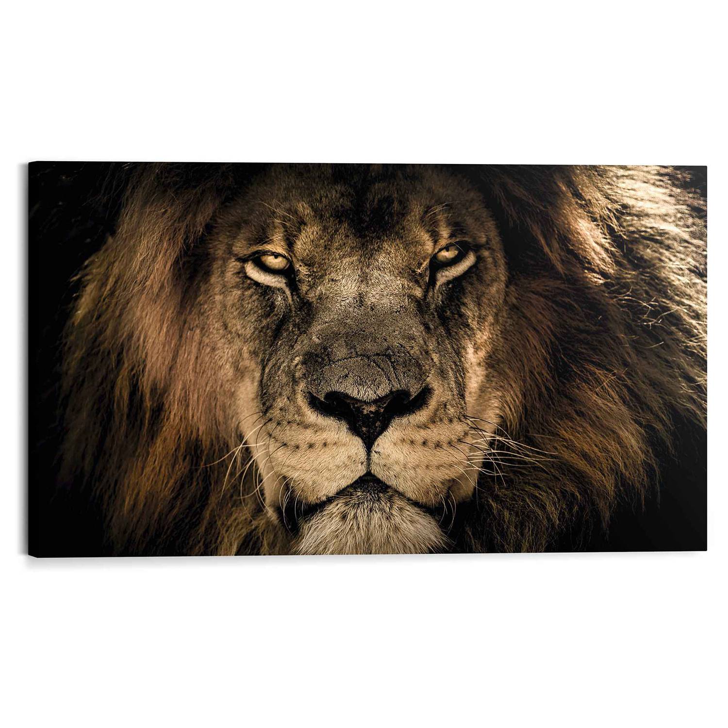 home24 Wandbild kaufen Dschungel | Löwe