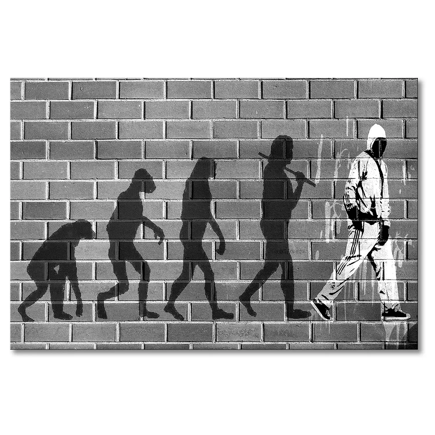 Evolution Bild