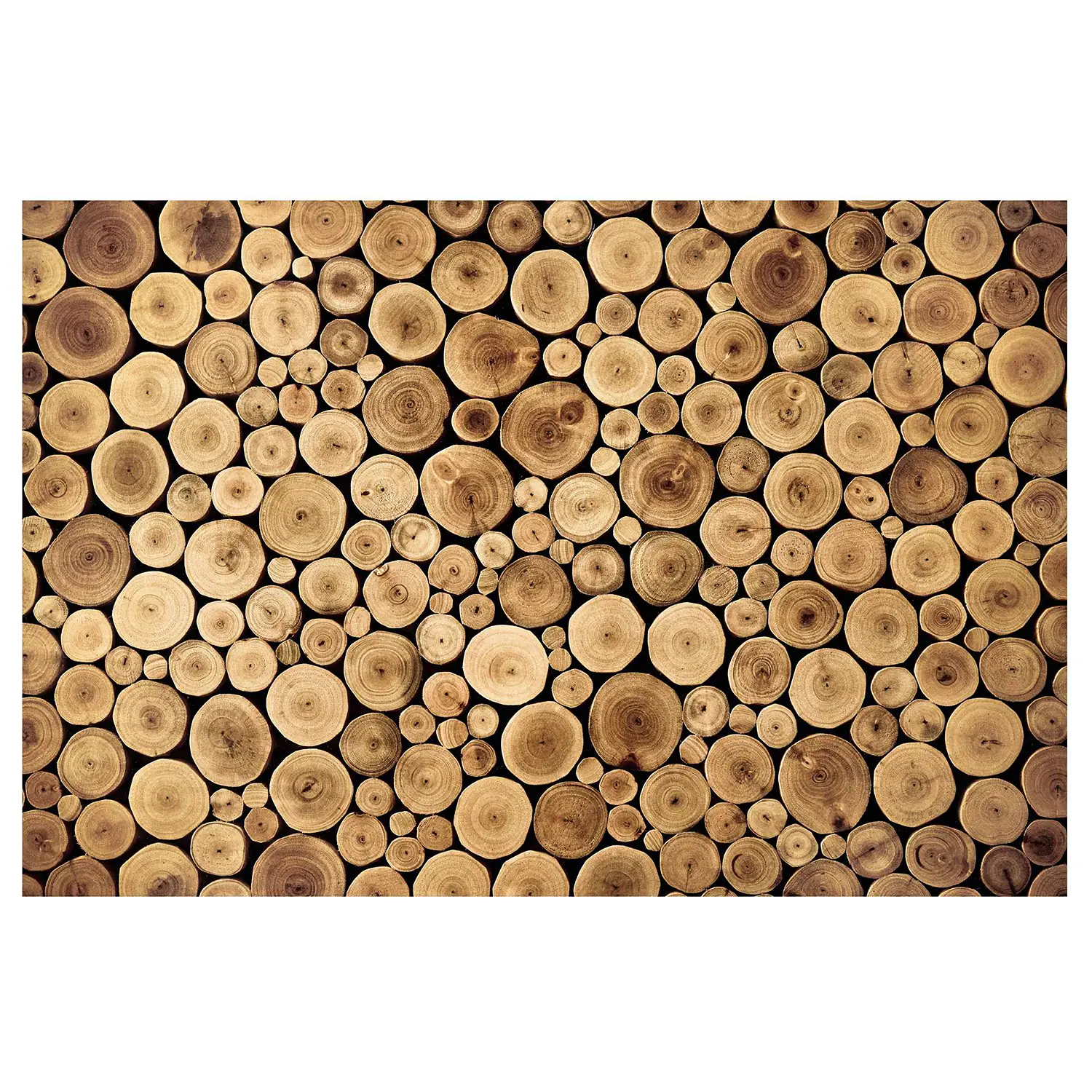 Vliestapete Firewood Homey