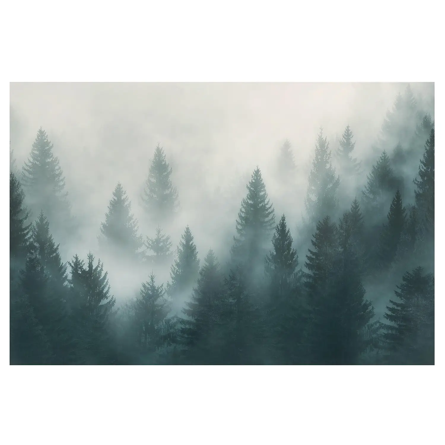 Nadelwald im Nebel Vliestapete