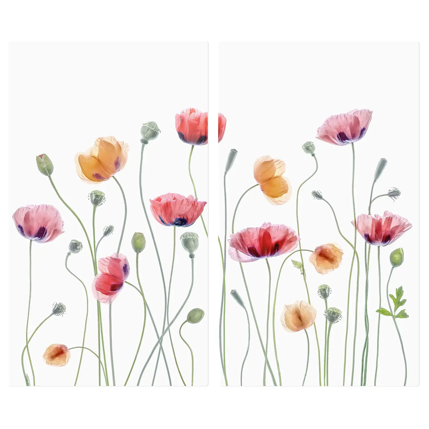 Herdabdeckplatte Klatschmohn Party | Herdabdeckplatten