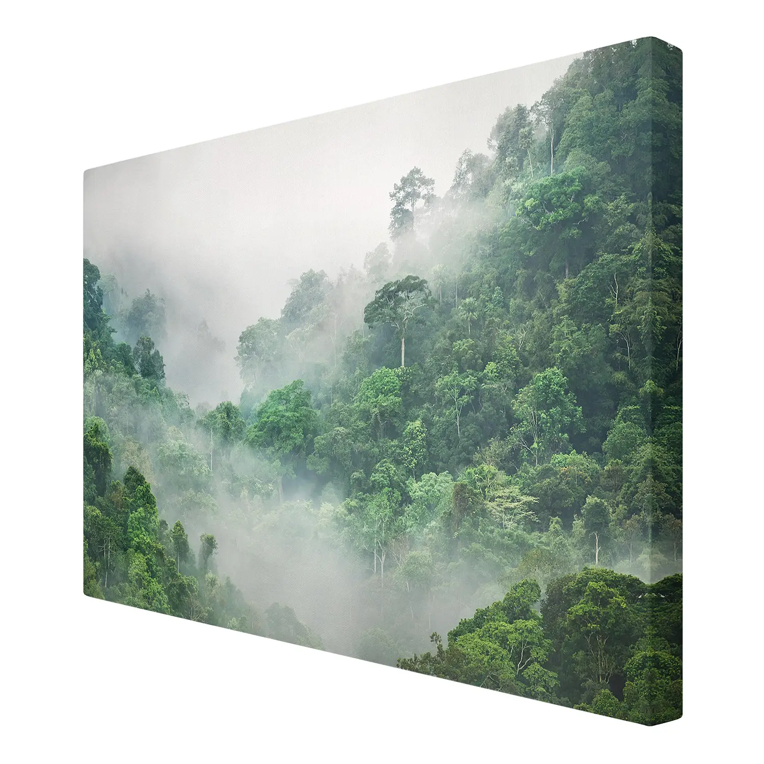 Dschungel Leinwandbild I Nebel im