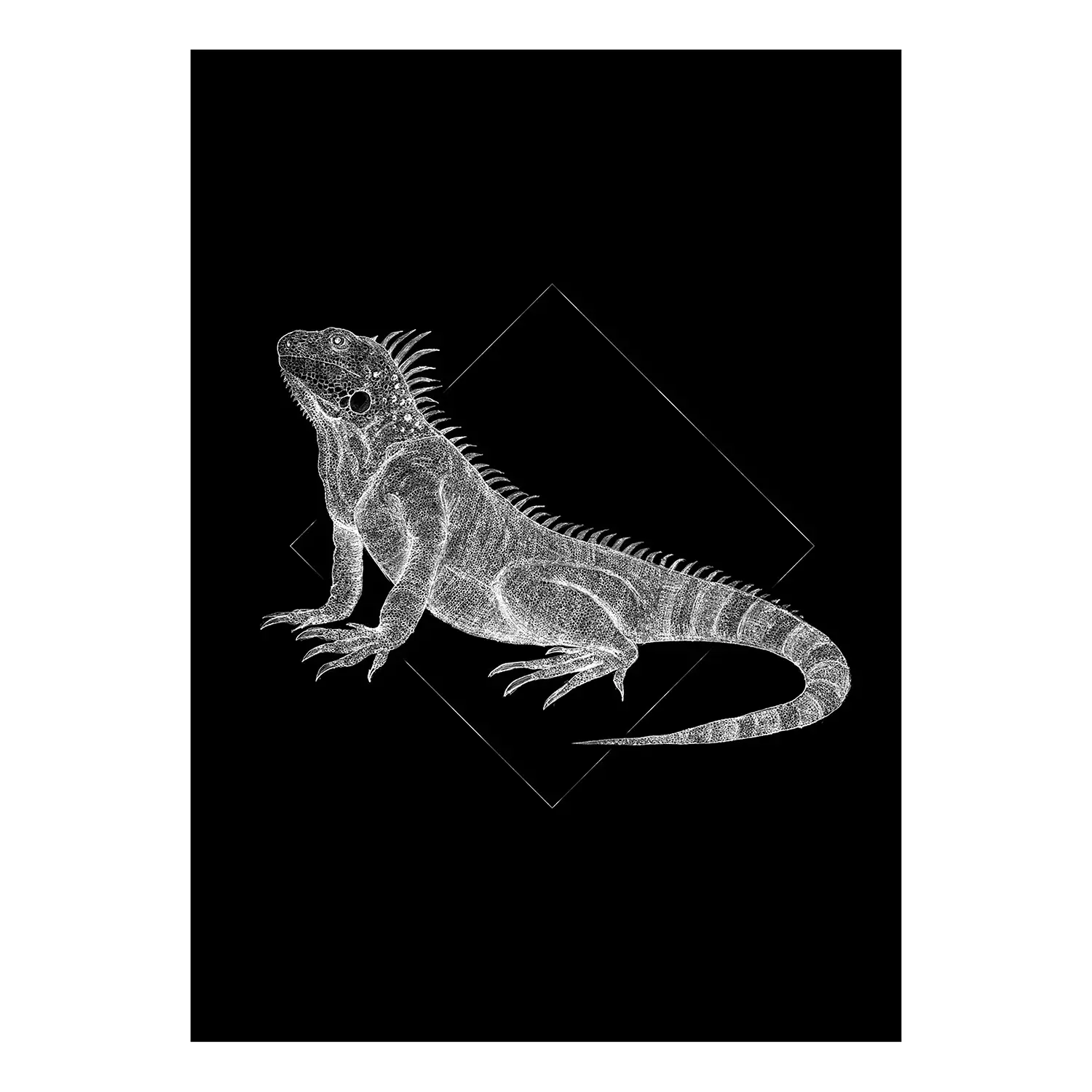 Wandbild Iguana Black | Bilder