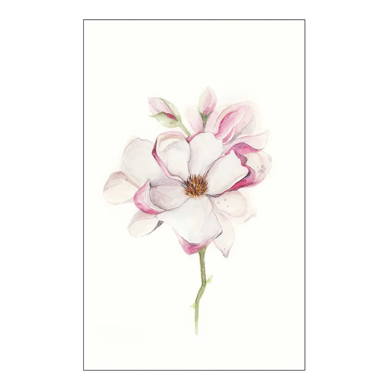 Wandbild Magnolia Blossom