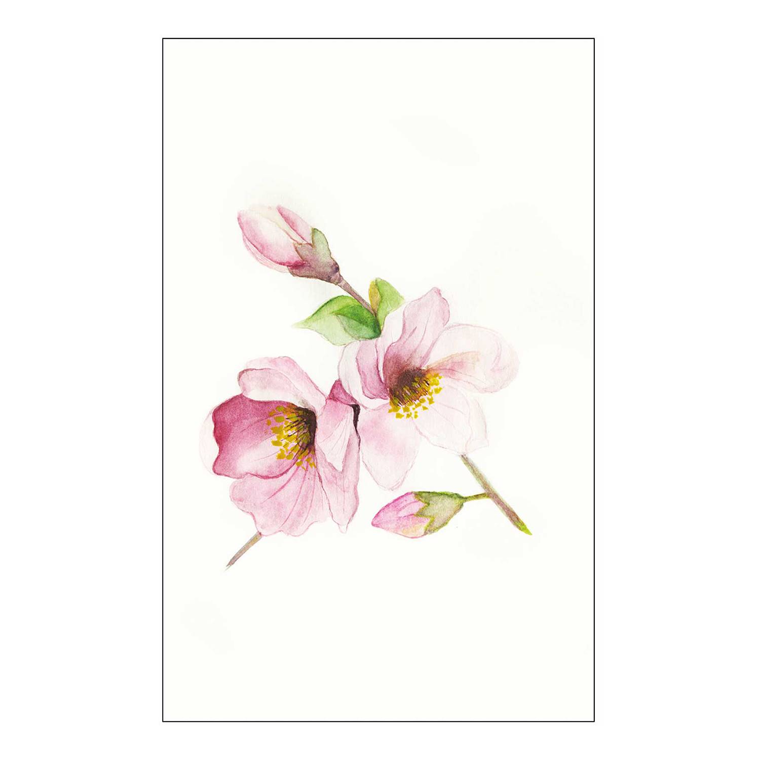 Wandbild Magnolia Breathe kaufen | home24