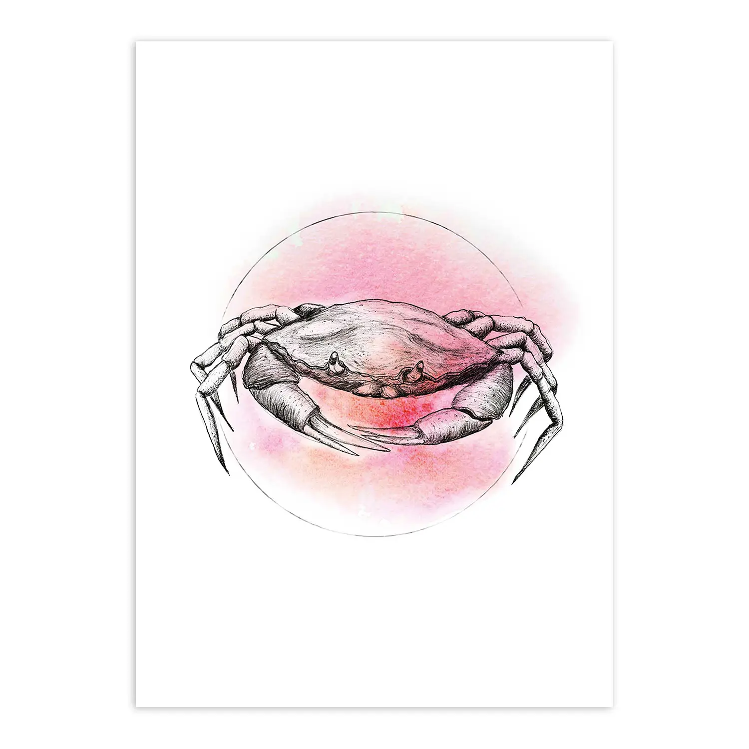 Wandbild Crab