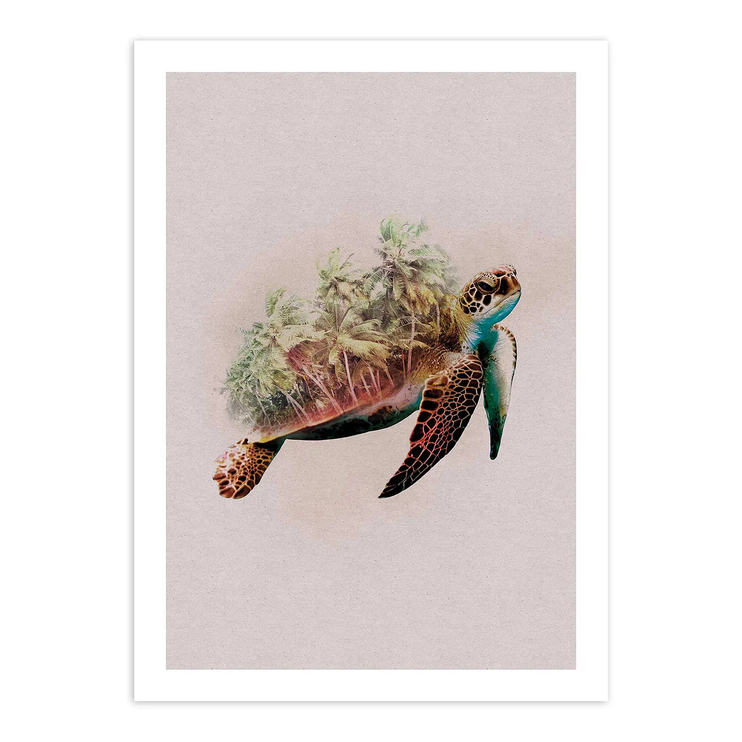 Wandbild Turtle Animals Paradise