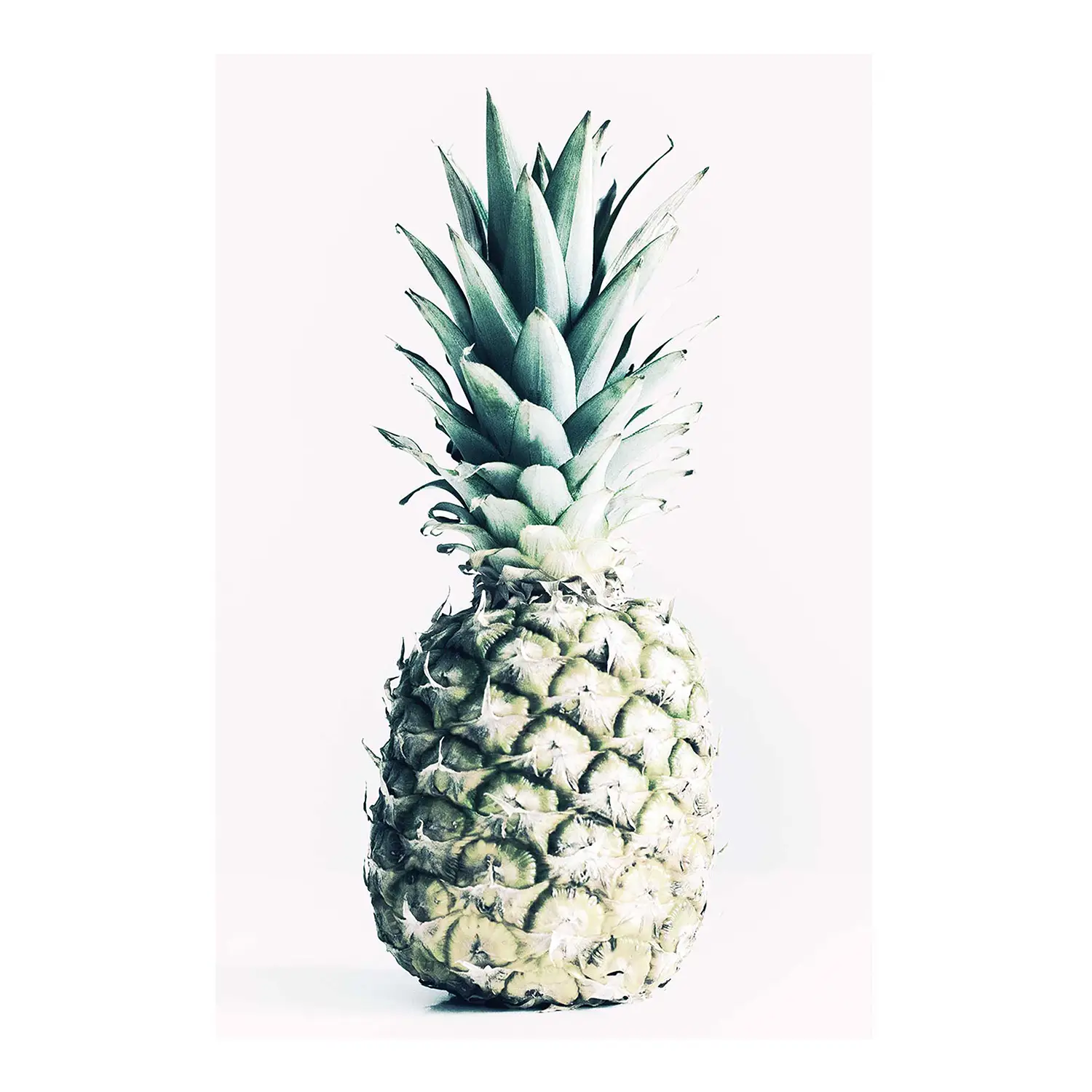 Pineapple Wandbild