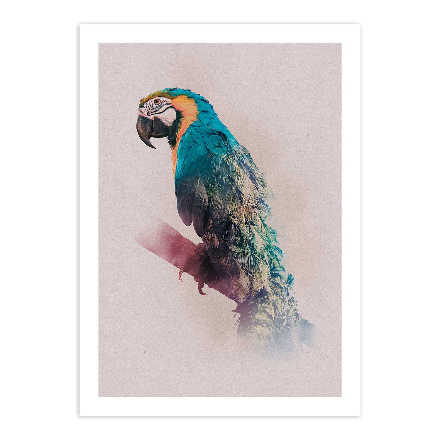 | Paradise Parrot Wandbild kaufen Animals home24