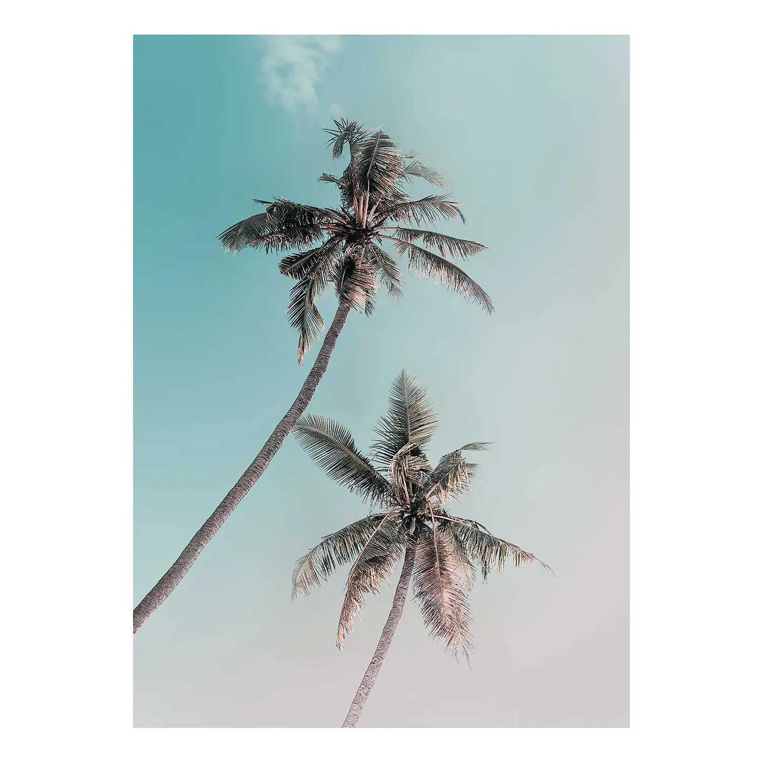 Wandbild Miami Palms