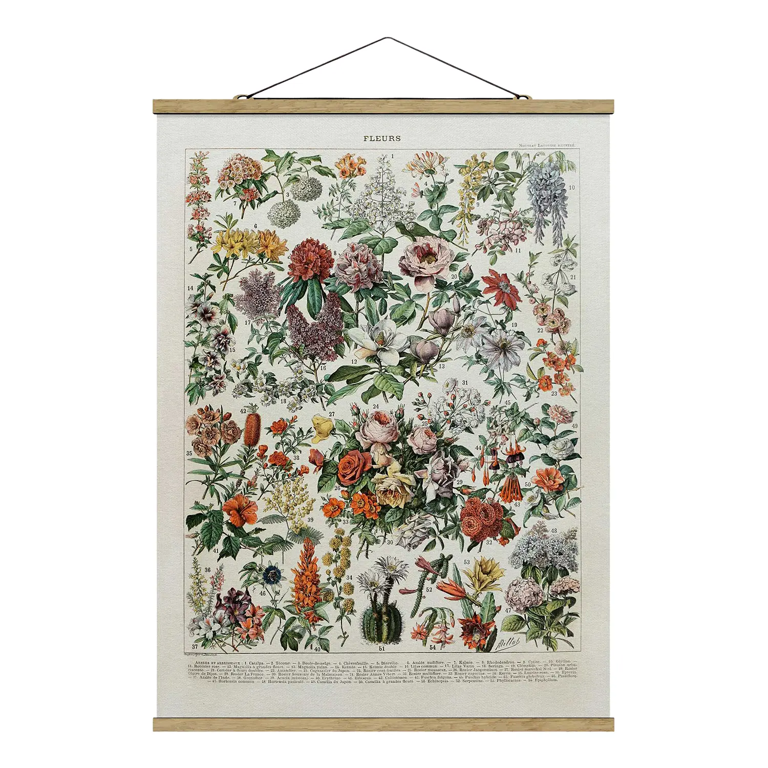 Lehrtafel Blumen Stoffbild Vintage II