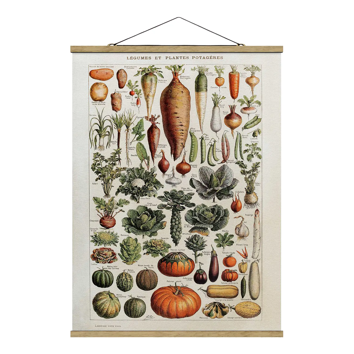 Lehrtafel Stoffbild Gemüse Vintage
