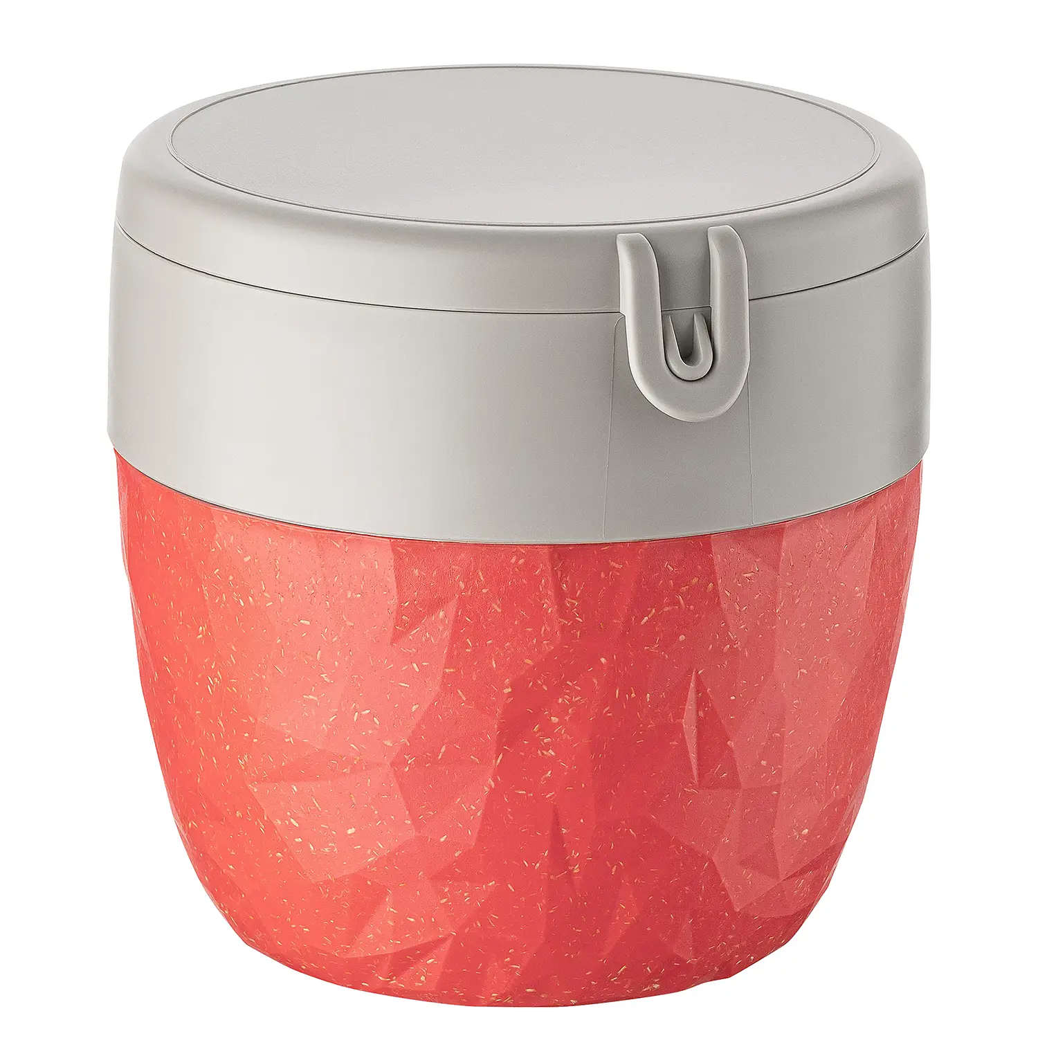 Lunchbox Bentobox Recycle L