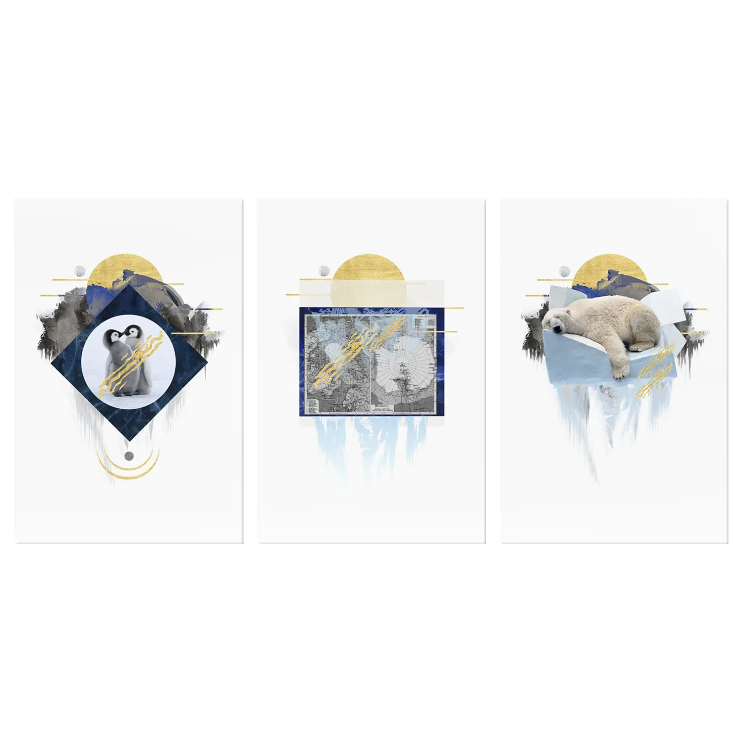 Antarctica Collection Wandbild