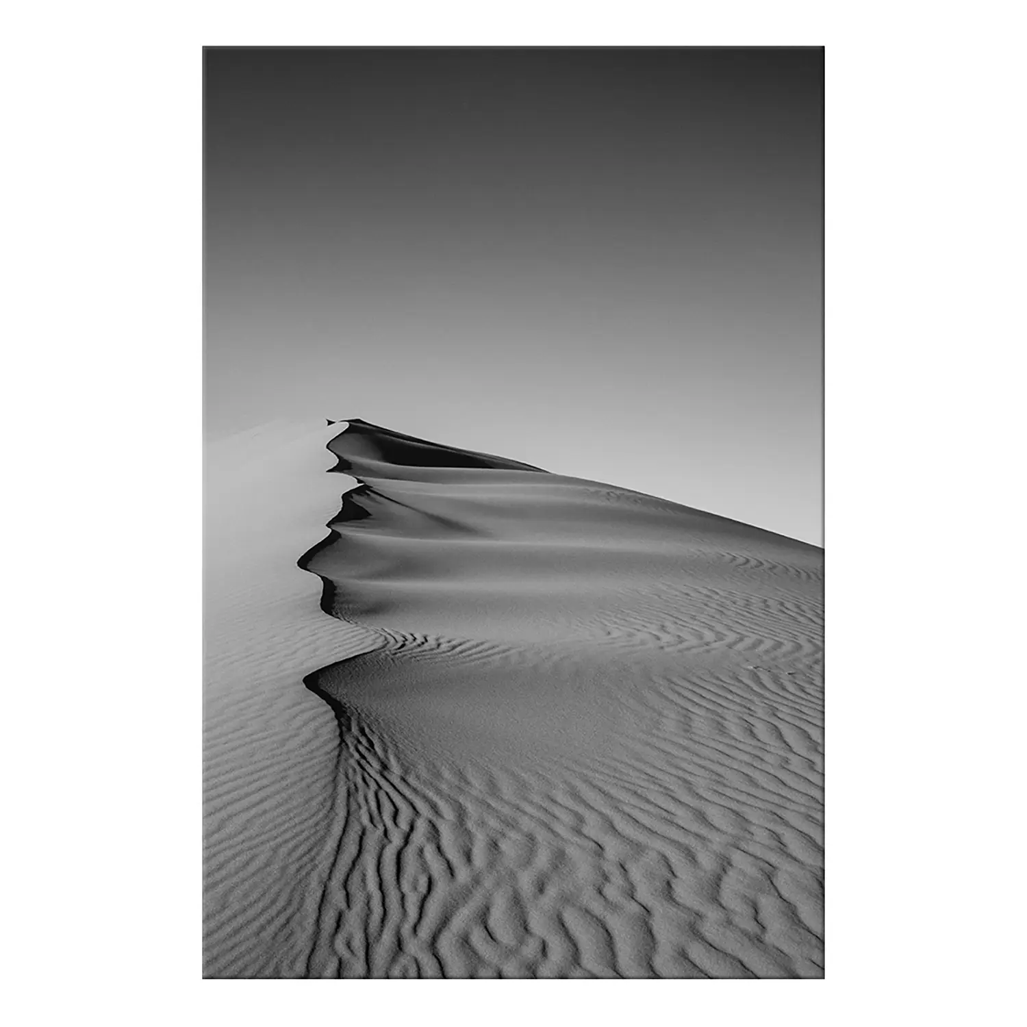 Wandbild Desert