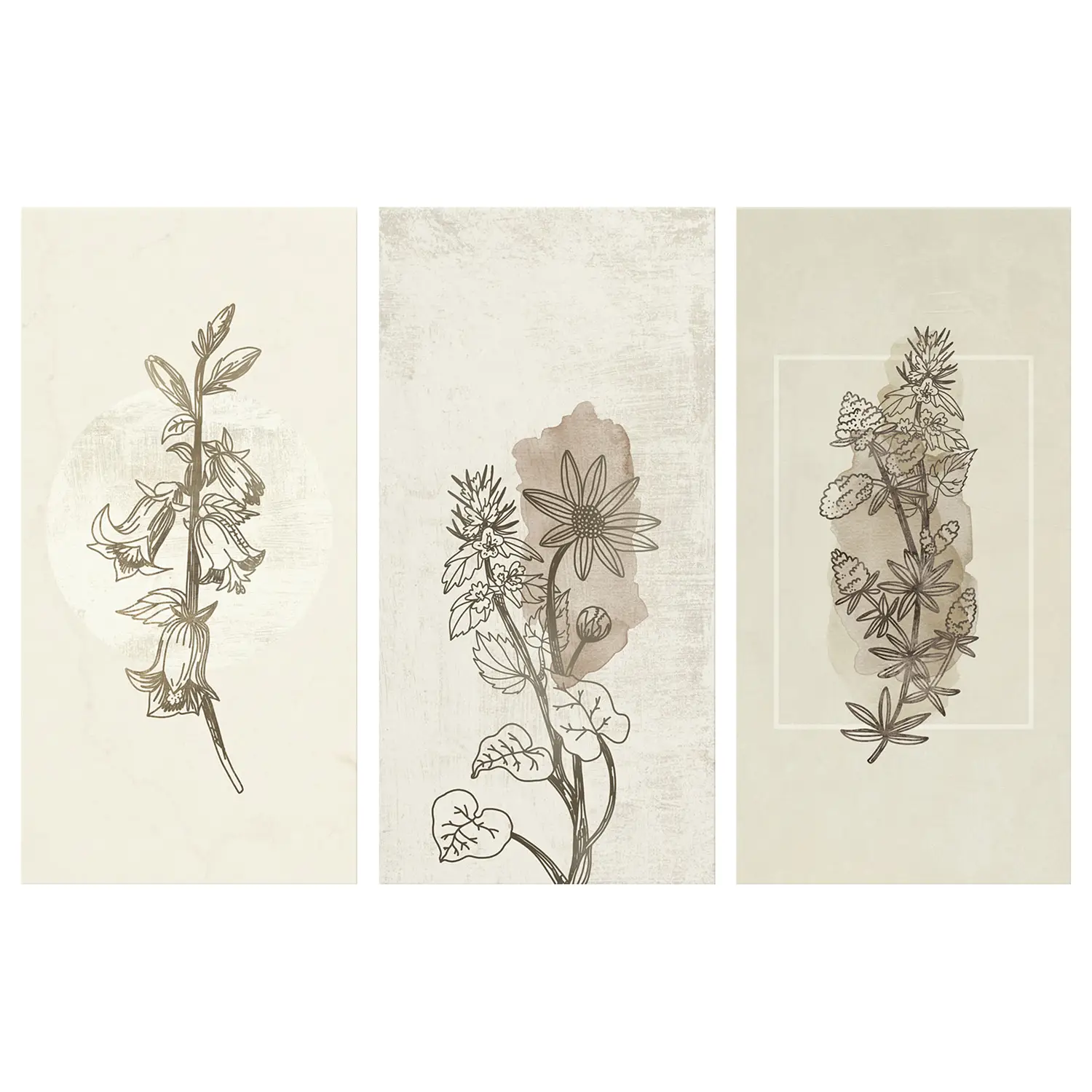 Wandbild Herbarium (3-teilig) | Bilder