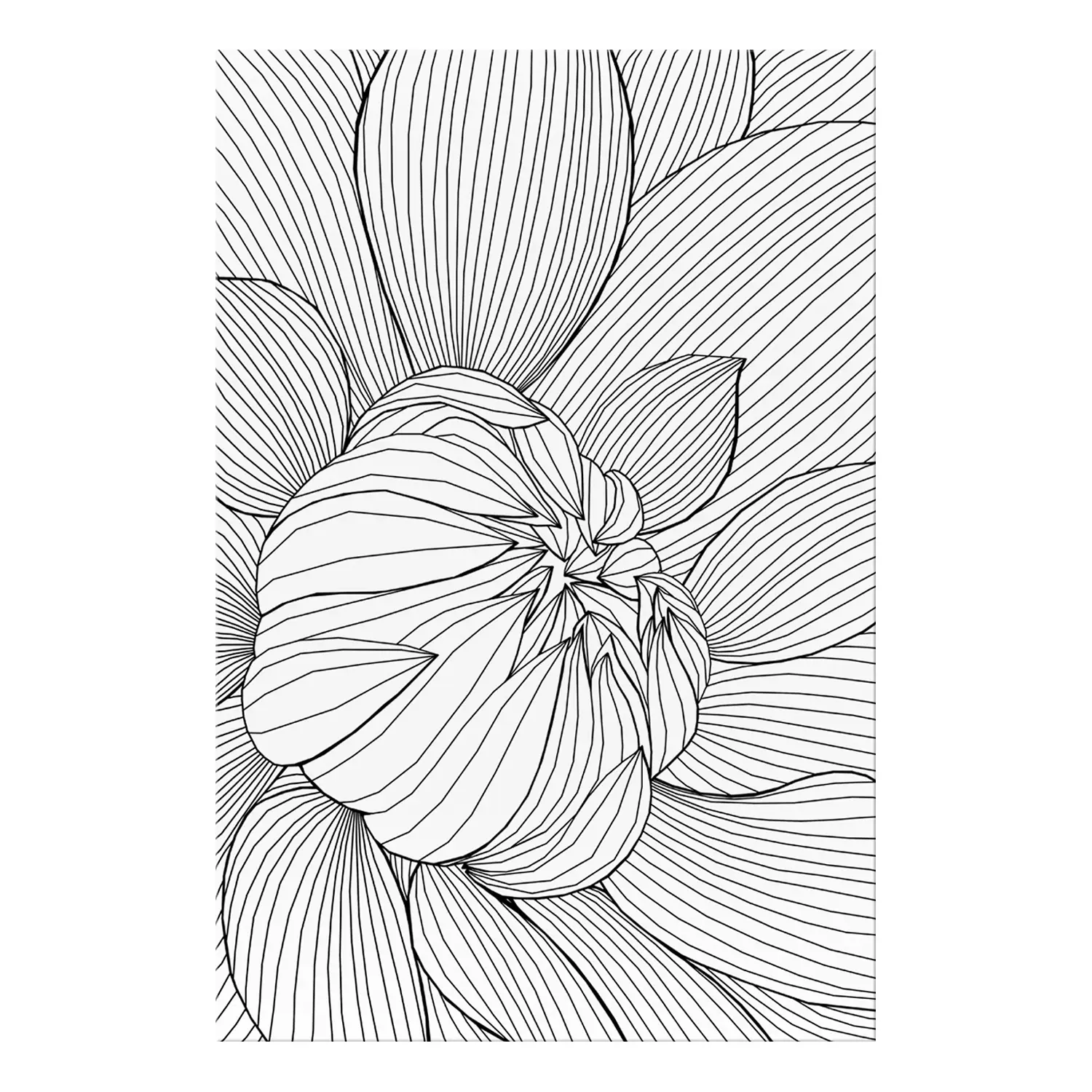 Wandbild Flower Line | Bilder