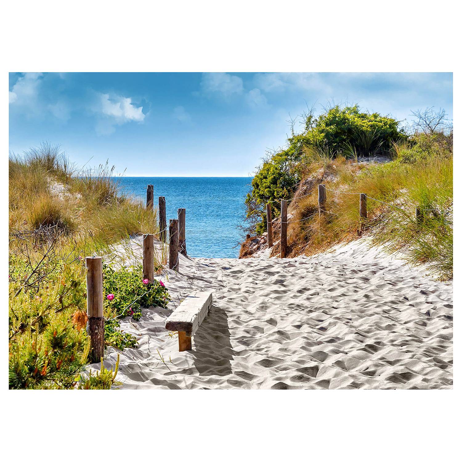 Bilder ohne Rahmen | Kunstdrucke online bestellen | home24