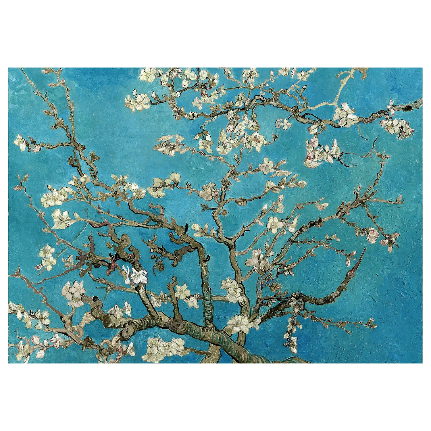 Almond Blossom Leinwandbild