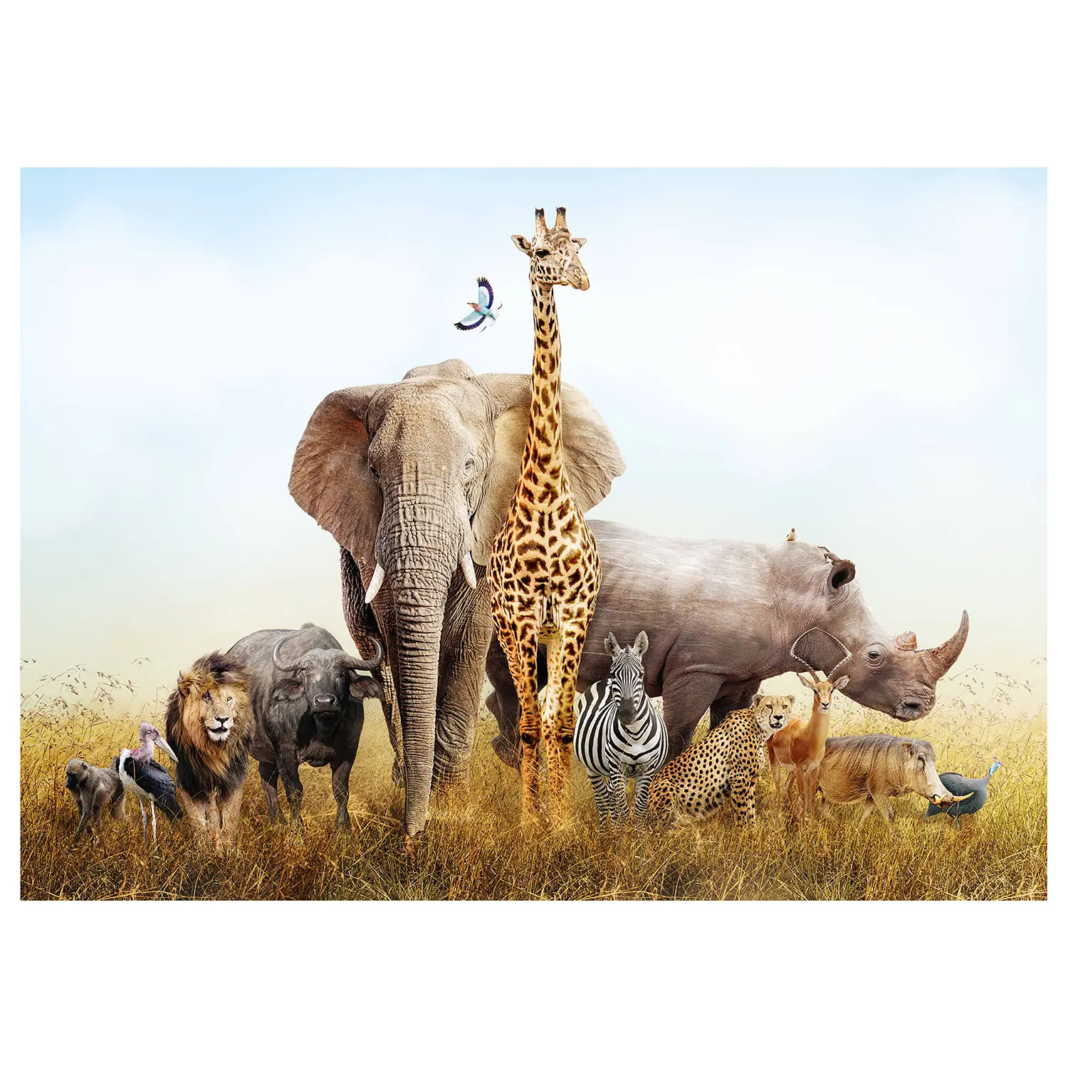 Tiere Animals African Leinwandbild