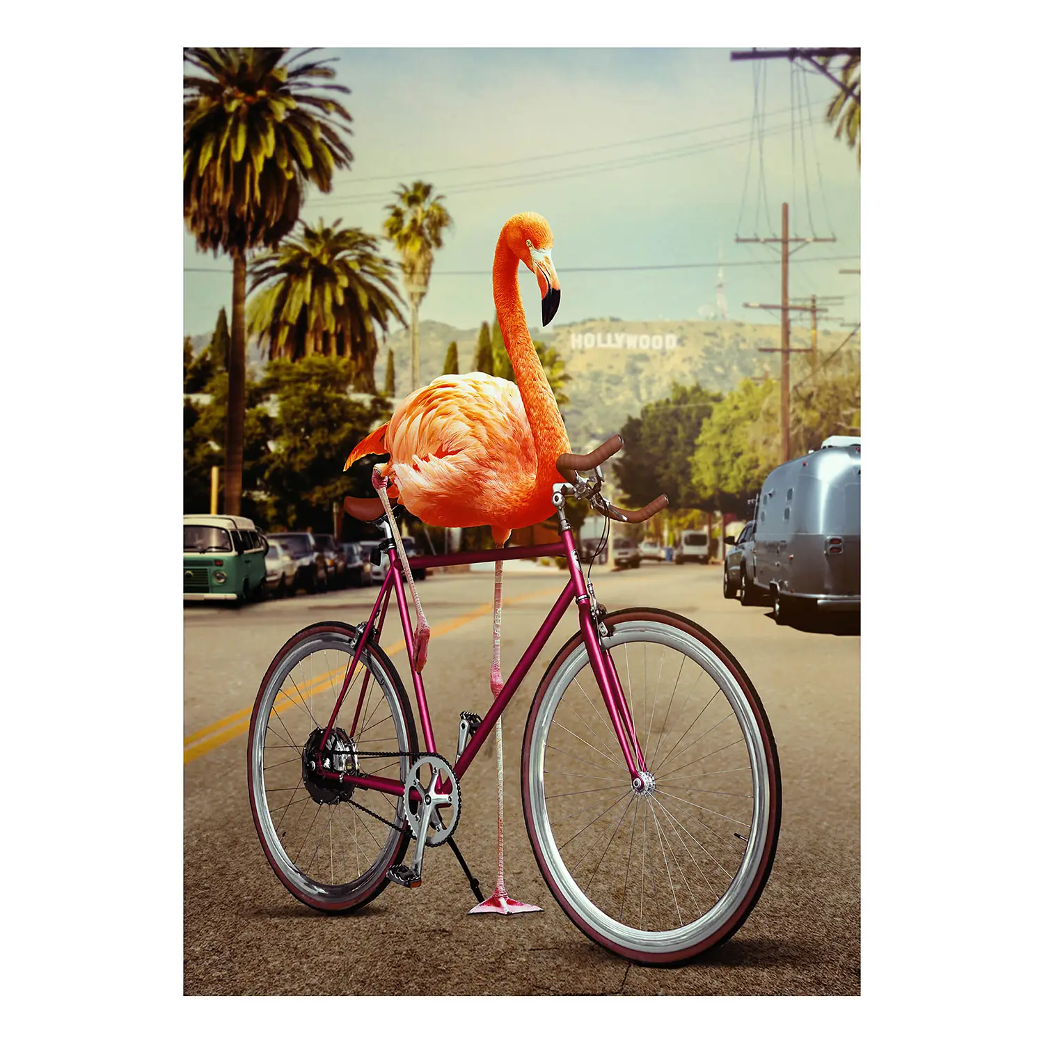Impossible Leinwandbild Flamingo