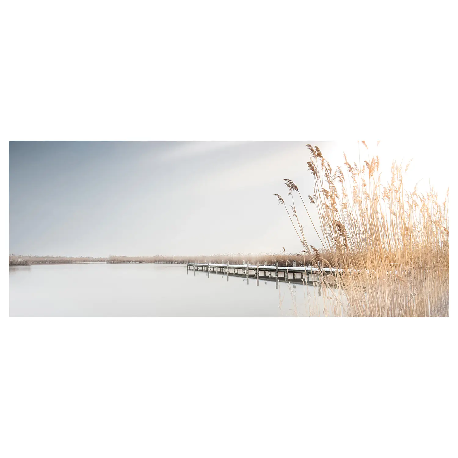 Leinwandbild See Reeds On The Lake