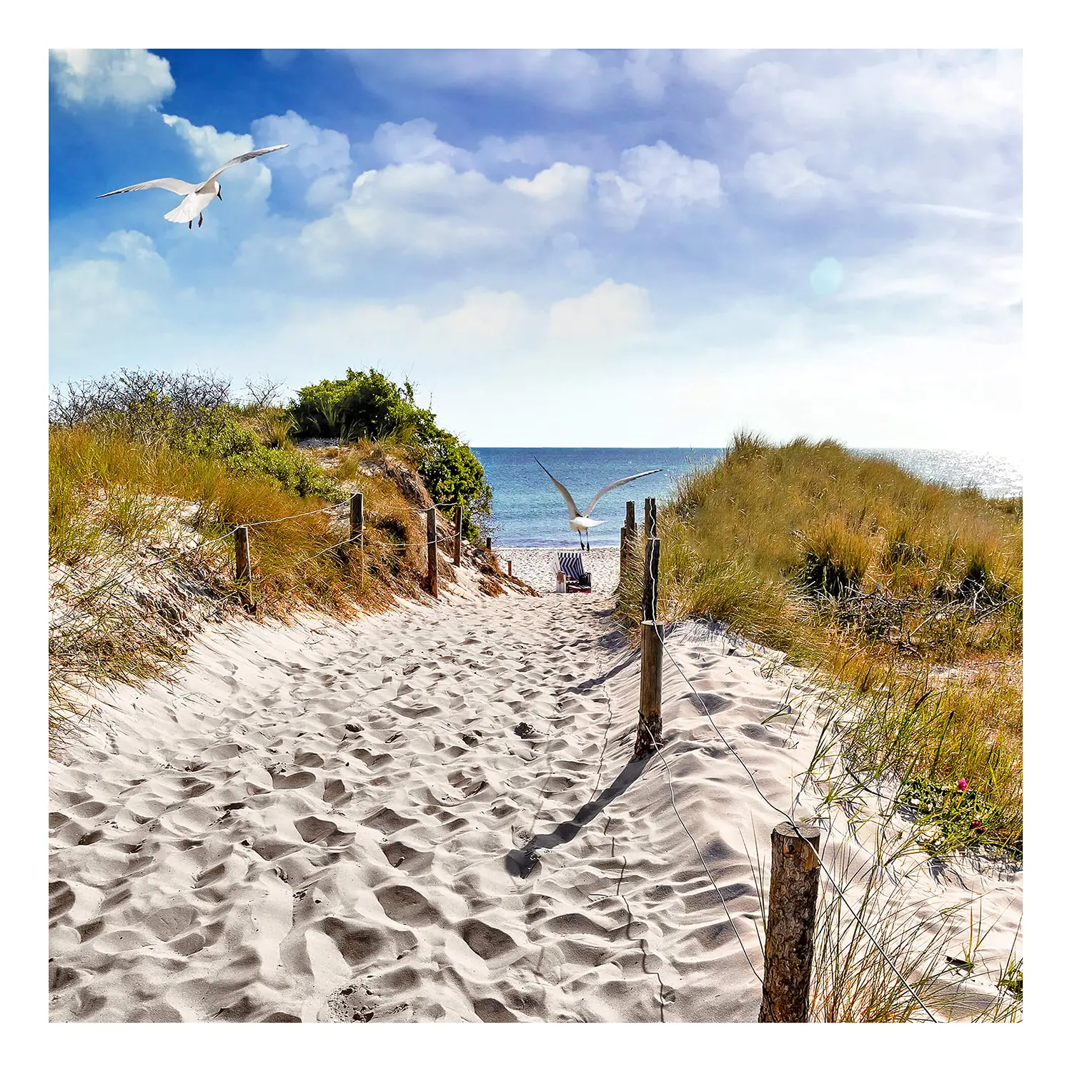 Wandbild Way To The Beach | Bilder