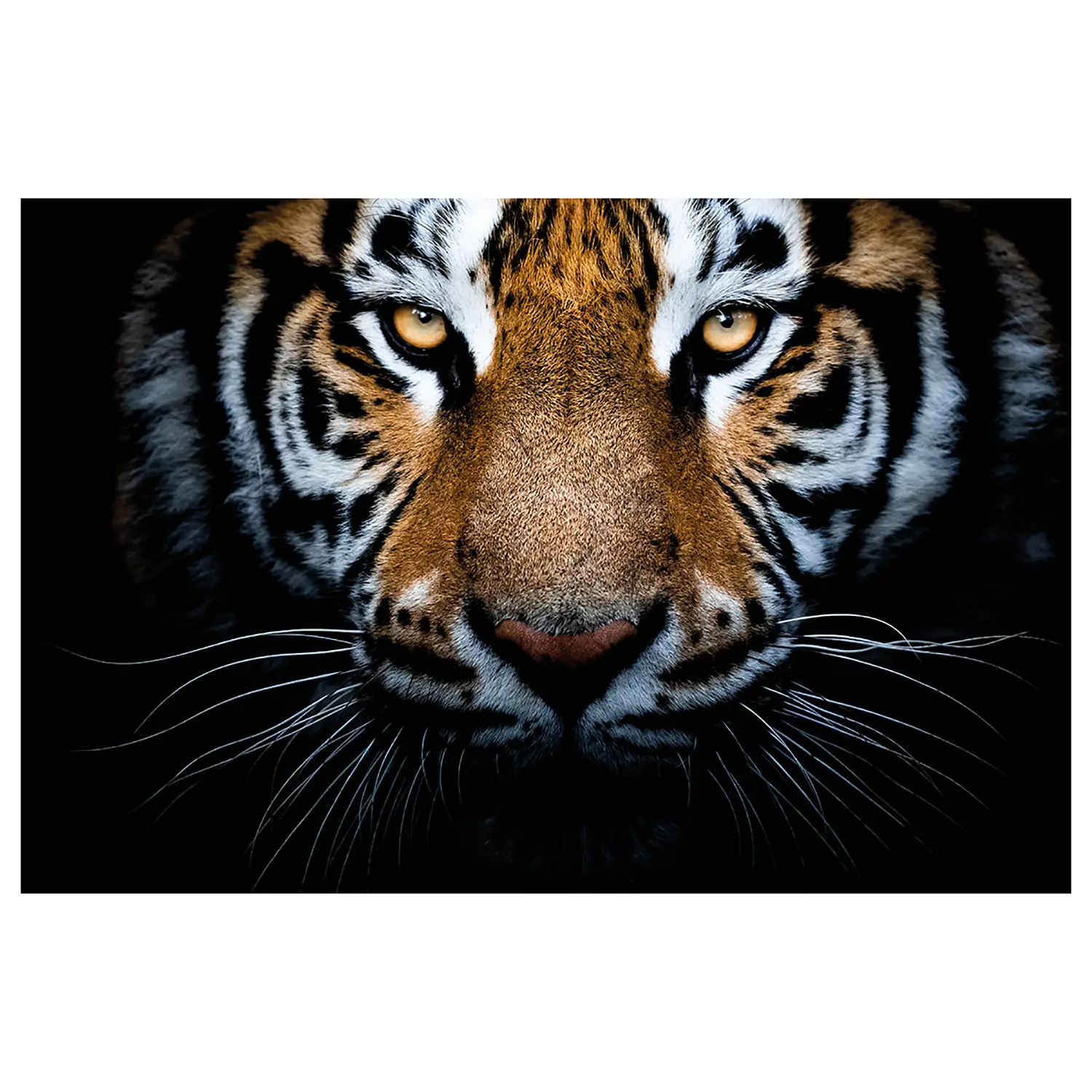 Leinwandbild Eyes Of A Tiger