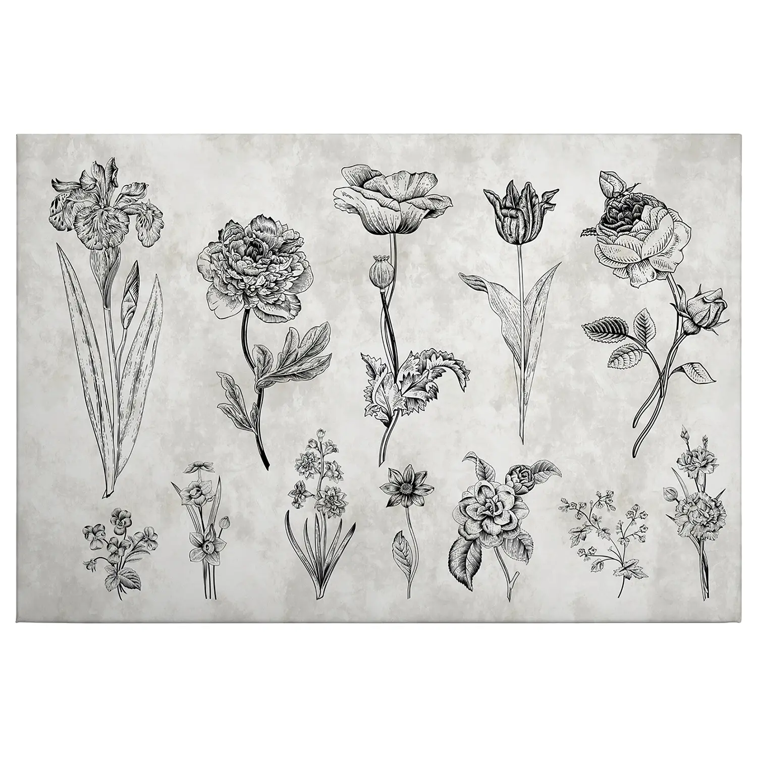 Sketchpad Wandbild Floral