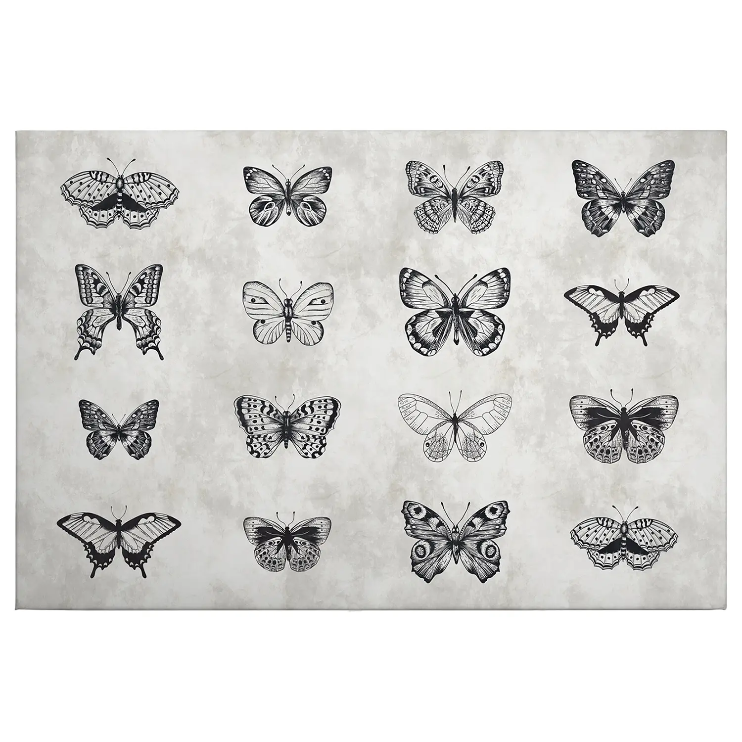 Wandbild Schmetterlinge