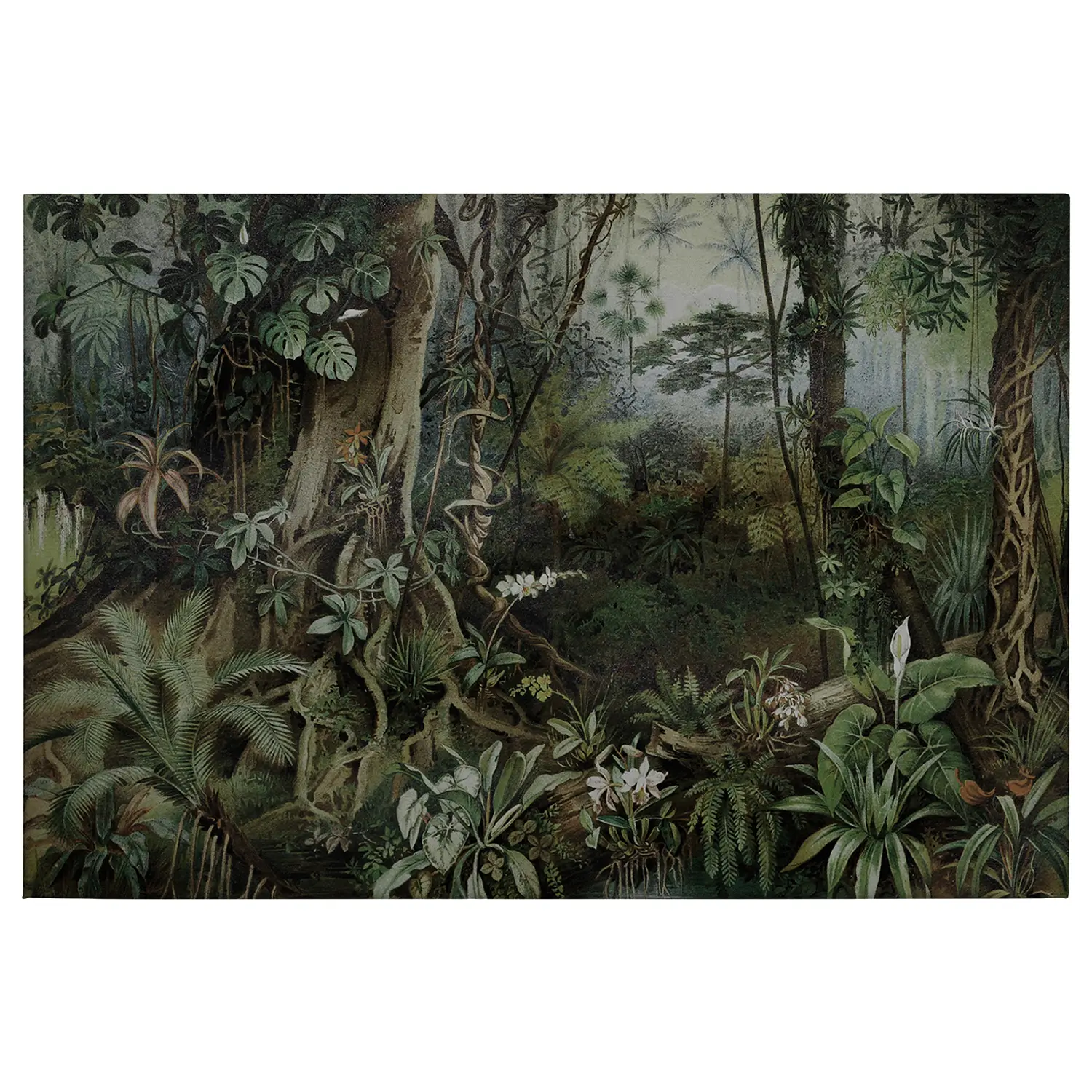 Jungle Leinwandbild Natur