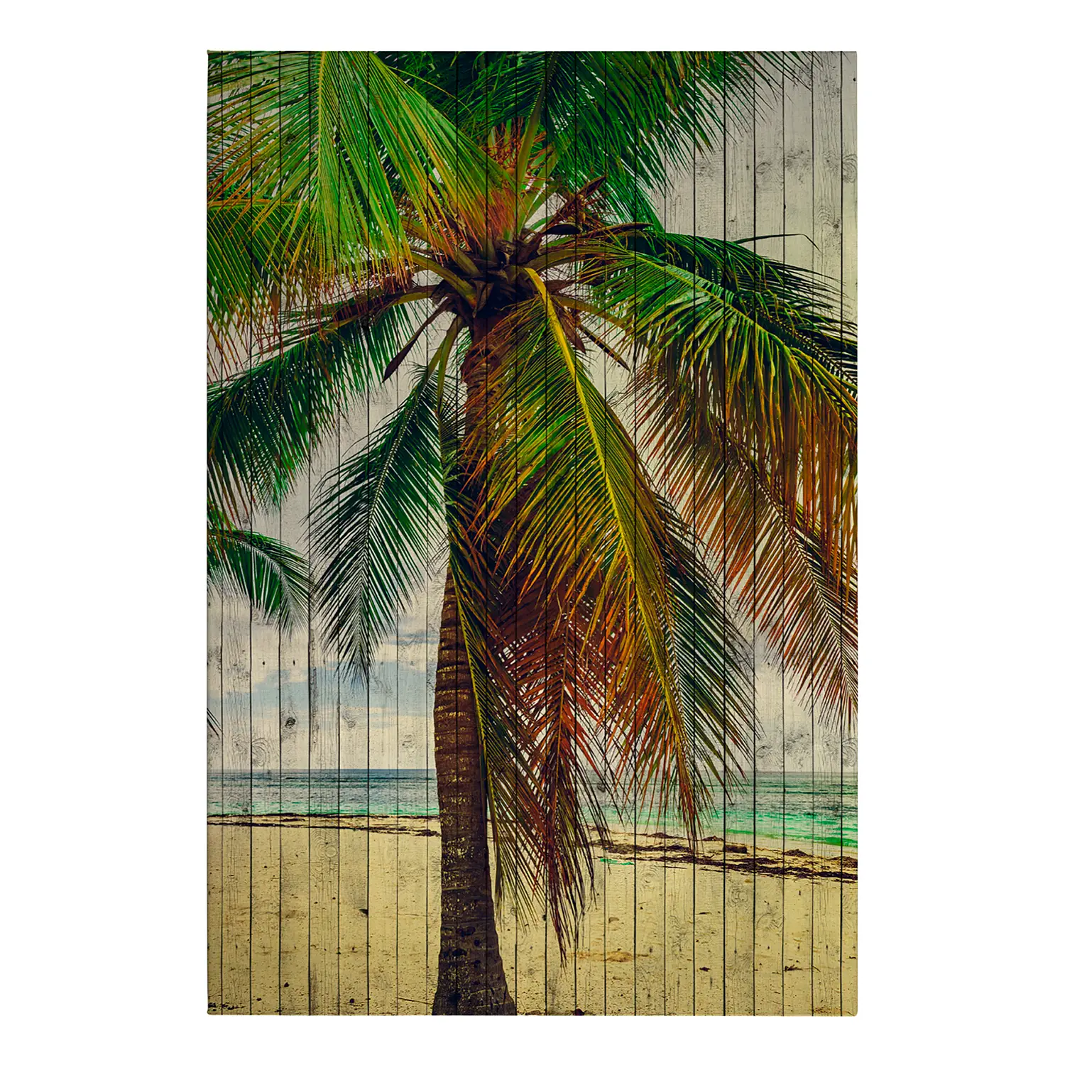 Leinwandbild Strand Tahiti Palme am