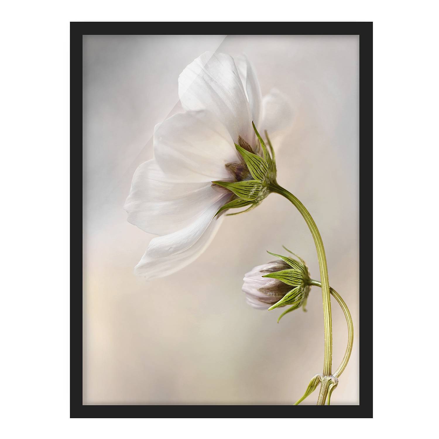 Affiche Déco 50x70 Cm - Motif Céleste, Oiseau, Fleur - Marque ARTTOR - Neuf Sous Tube