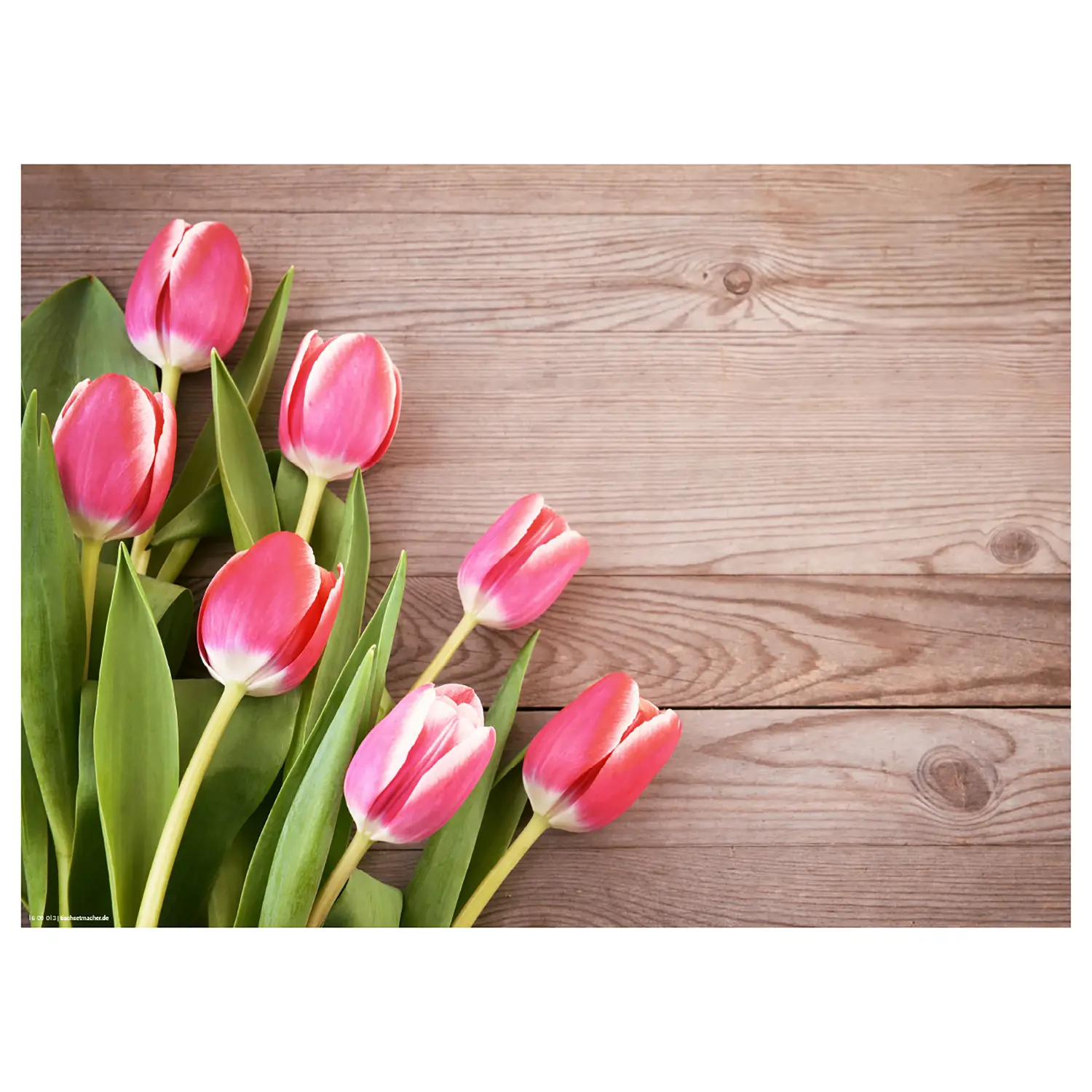 Tischset Rote Tulpen (12er-Set)