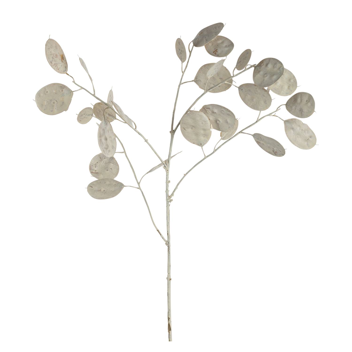 LEONARDO HOME Pianta Artificiale POESIA Argene Dollaro, 86 Cm, Colore Bianco - Fiore Finto In Plastica Per Decorazione D'Interni, Design Elegante