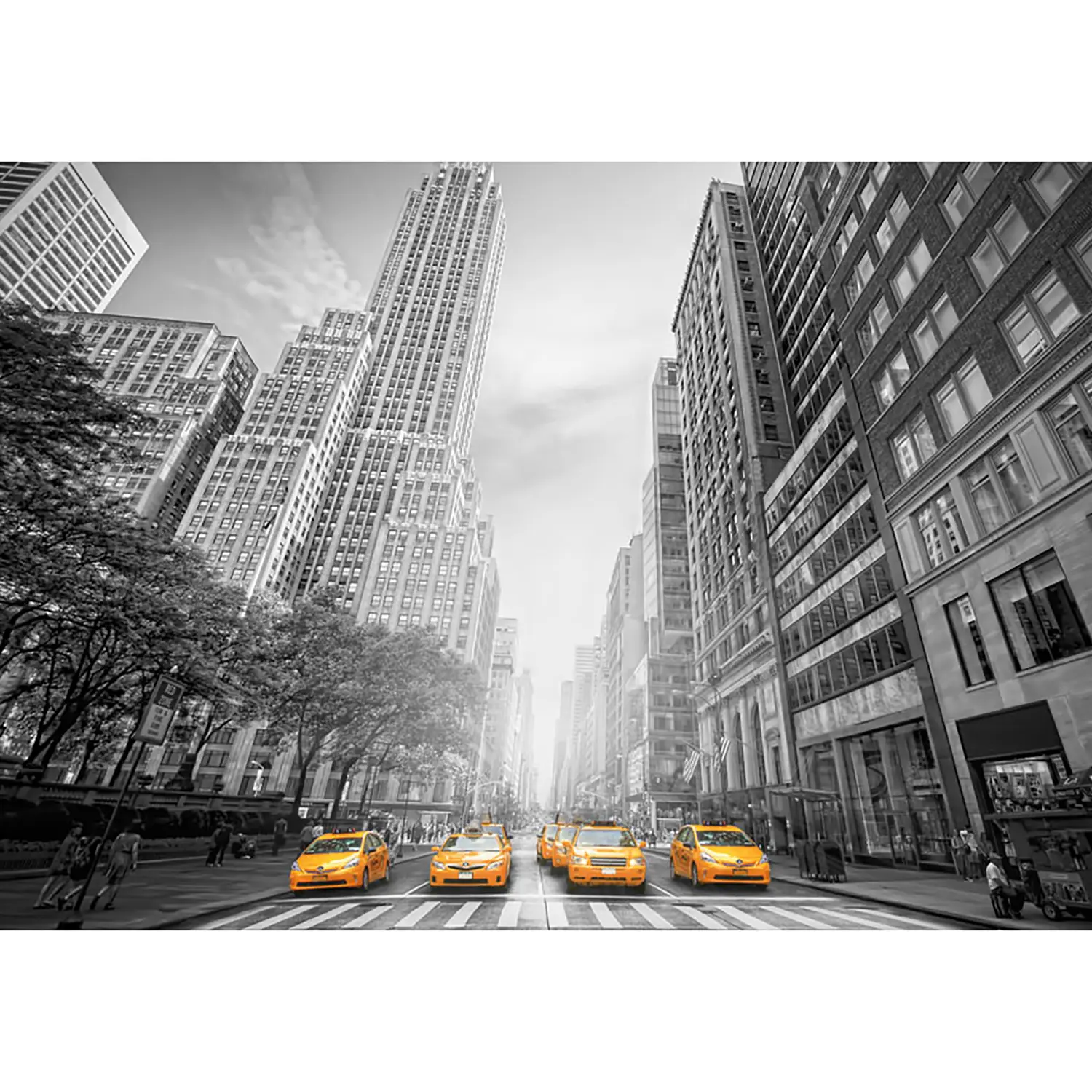 New York Taxis Fototapete Vlies