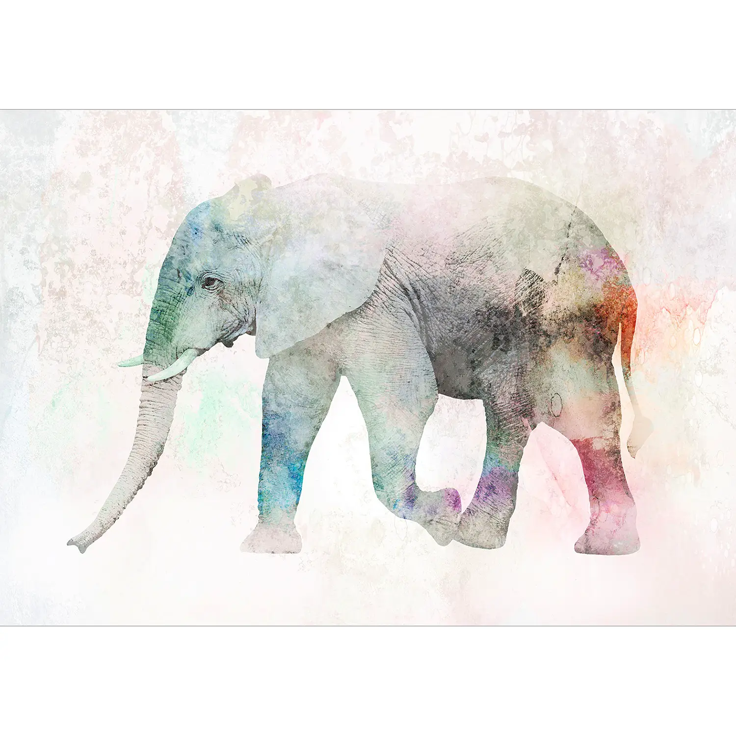 Vlies Fototapete Painted Elephant